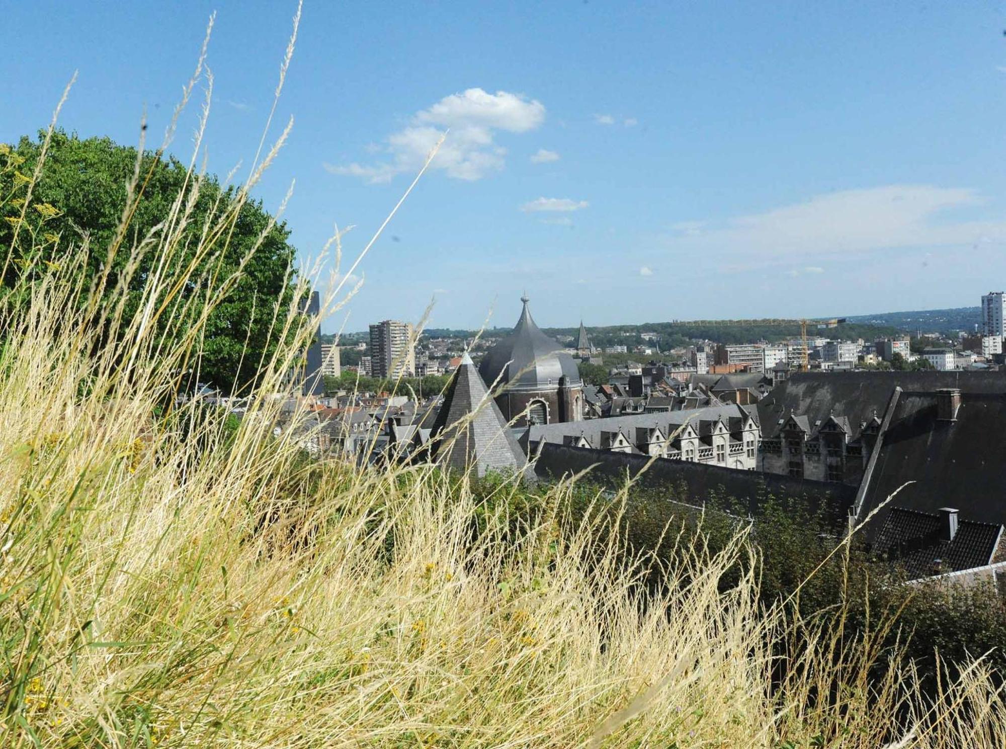 Hotel Bonjour Pierreuse Liège Zewnętrze zdjęcie
